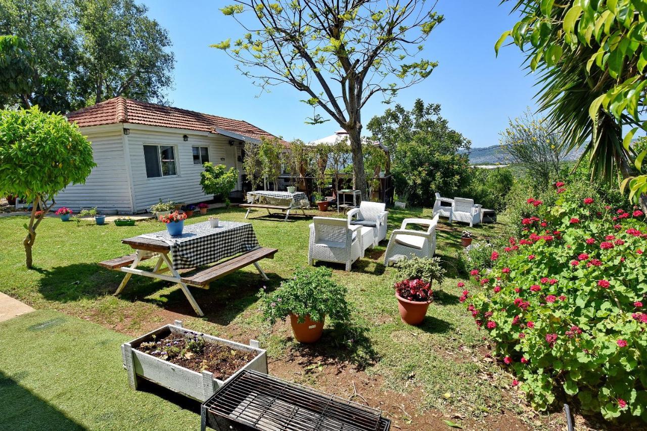 Biktot Nofim Villa Manot Bagian luar foto